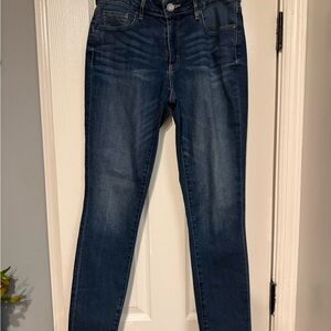 Ann Taylor LOFT skinny curvy